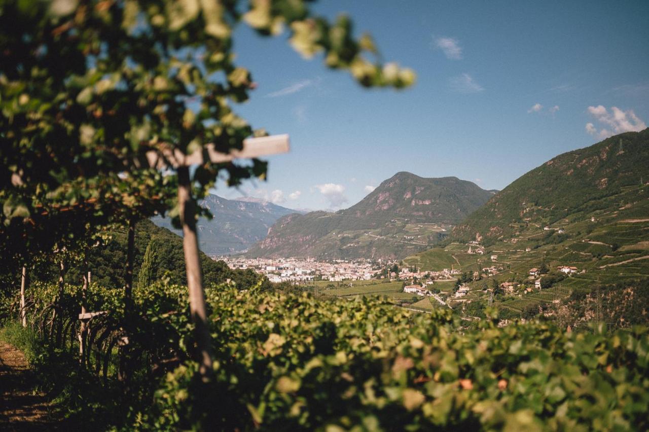 Pitzner - Winery &